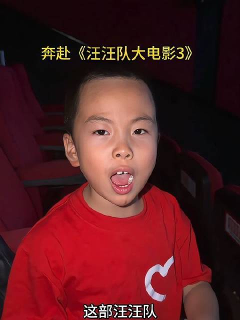 冲向汪汪队大电影3，全网小孩都在看