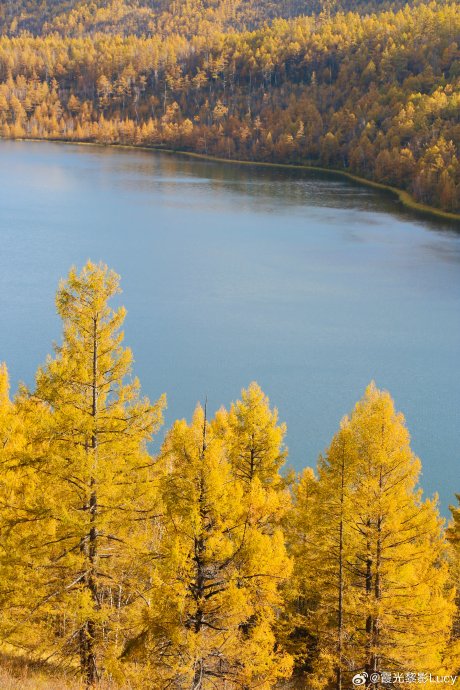 阿尔山国家森林公园的门票价格是多少? 阿尔山国家森林公园的门票价格是多少?