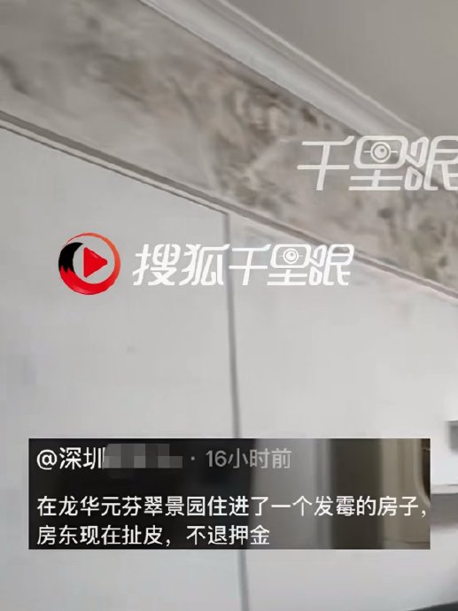 墙布发霉怎么判断霉变是否渗入墙体? 墙布发霉怎么判断霉变是否渗入墙体?