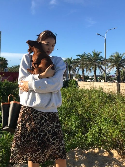 网友对孙千调侃爱犬法令纹有什么有趣评论? 网友对孙千调侃爱犬法令纹有什么有趣评论?