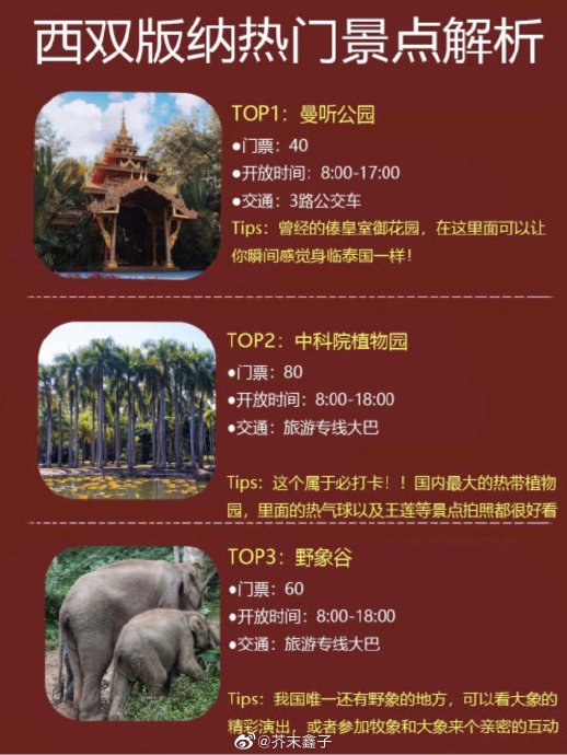 西双版纳5天暑假攻略