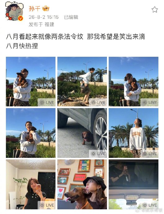孙千为什么给爱犬取名八月? 孙千为什么给爱犬取名八月?