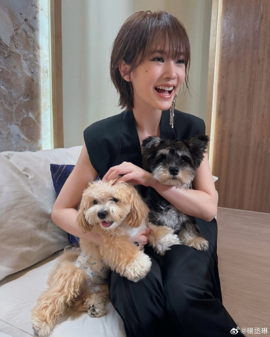 杨丞琳的歌曲风格有哪些变化？