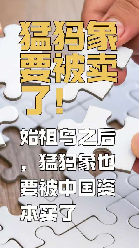 猛犸象五年两次易主中资加速收编海外户外品牌