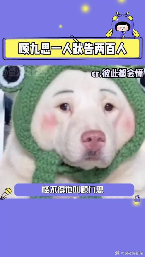 你别说，这人设和小白还挺搭