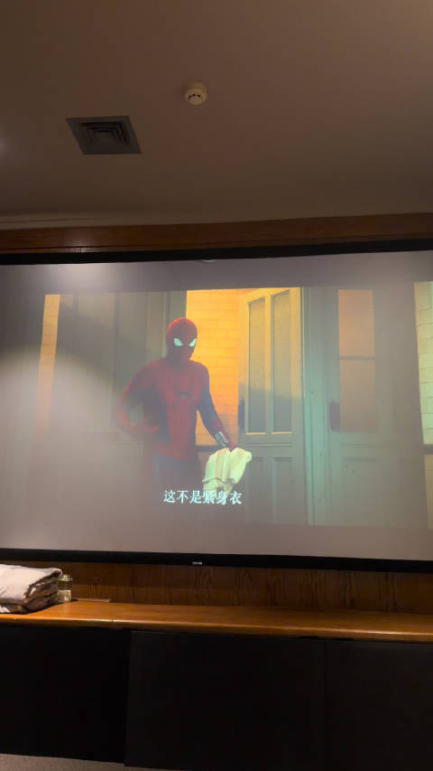 好无聊啊蜘蛛侠