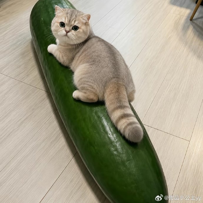 抱冬瓜睡觉解暑?小心28天后自爆! 抱冬瓜睡觉解暑?小心28天后自爆!