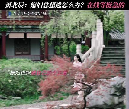 杭景三步之内必有萧北辰守护 良辰好景知几何
