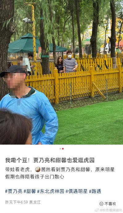 贾乃亮陪甜馨逛虎园,13岁甜馨身高直逼爸爸 贾乃亮陪甜馨逛虎园,13岁甜馨身高直逼爸爸