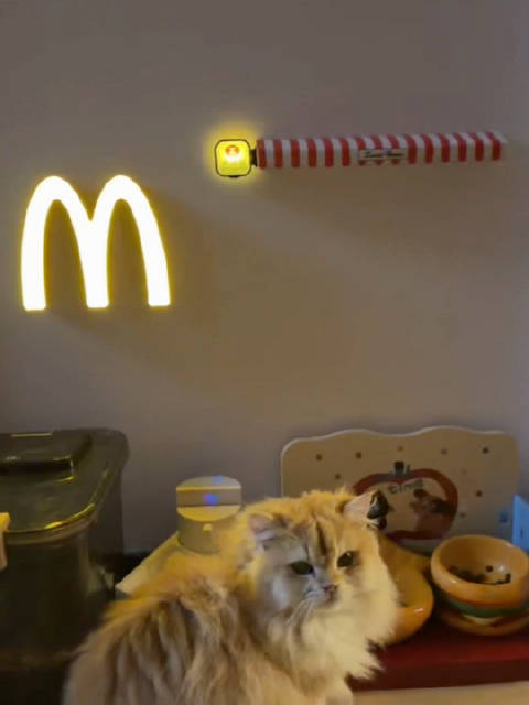 深夜食堂 我咪想要 我咪得到