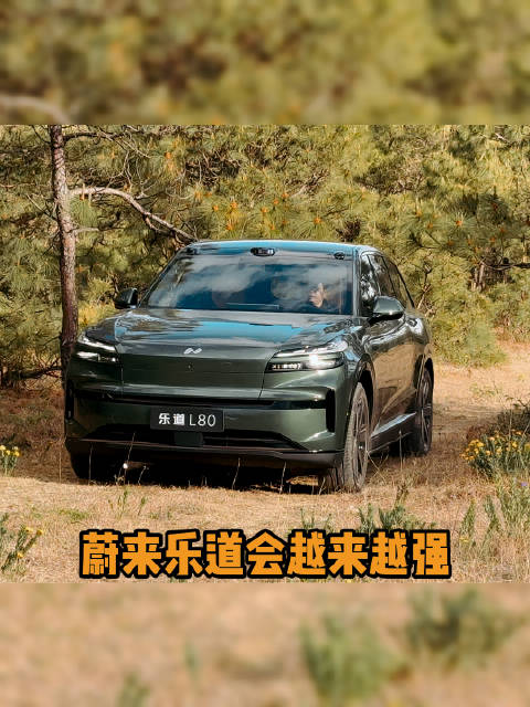 蔚来公司7月交付量出来了，我更坚定的看好乐道了