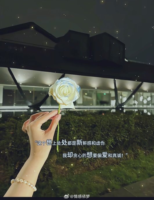 隔阂已成，体面疏远比示好更清醒