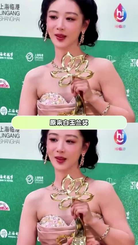 孙俪闫妮等六位演员获金鹰白玉兰飞天三奖大满贯