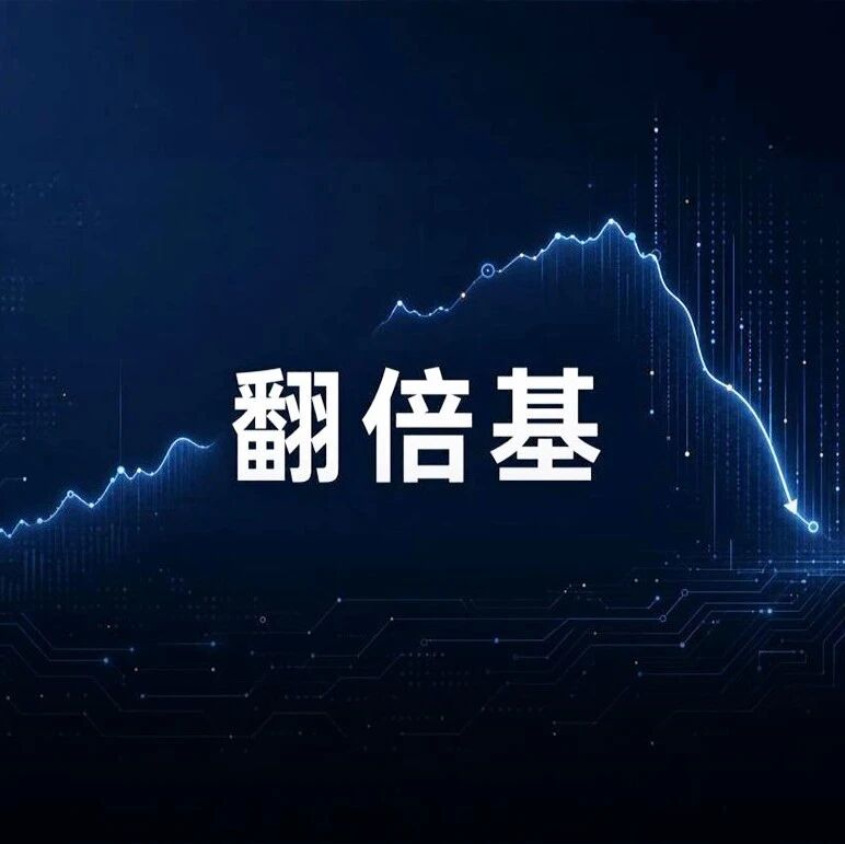 翻倍基大浪淘沙，两只净值领先者以主动择时验证含金量，科技行情还能走多远？