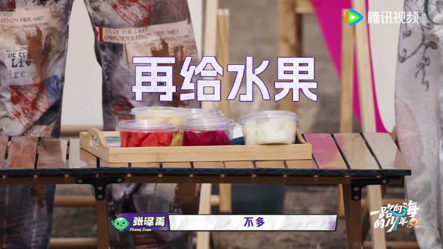 五椰刚启程遇椰子危机，倪萍挺身而出为讨公道