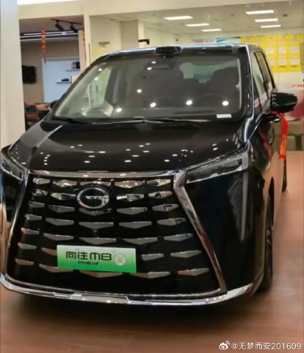 30万预算买商务MPV，传祺M8和赛那怎么选？