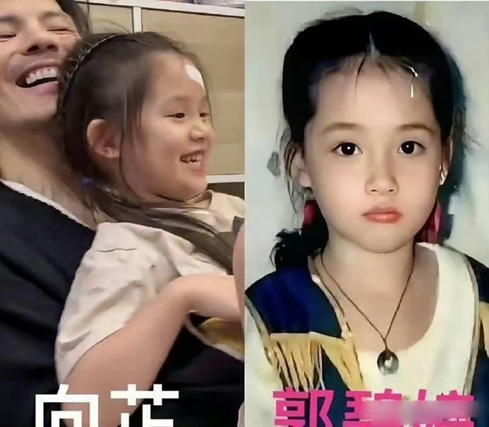 向芷近照曝光后网友如何评价她的长相？