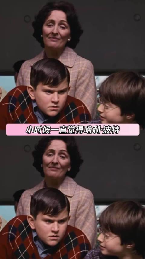 长大后才发现哈利·波特的姨妈不是坏人 哈利·波特与魔法石 哈利·波特 鹅滴神片