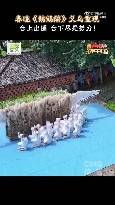 义乌小天鹅再现春晚，朱迅王耀庆被萌翻
