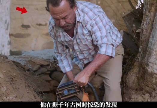 男人在据树时突然发现这土底下竟藏着一个宝贝