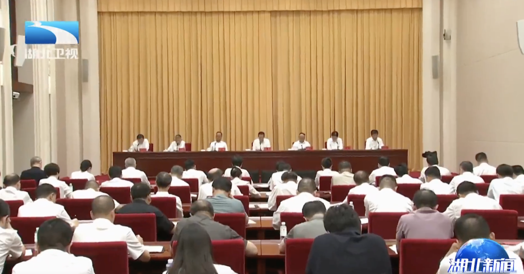 湖北召開全省深化掃黑除惡專項鬥爭影片會議