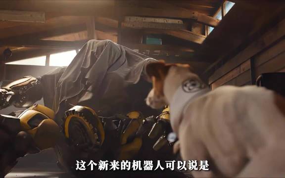 大黄蜂战场威风，私下呆萌拆家