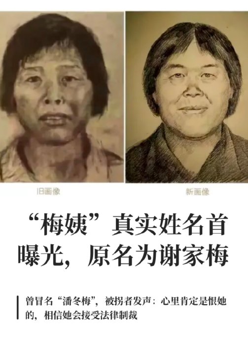 官方确认!谢家梅就是梅姨,案件进入审查起诉 官方确认!谢家梅就是梅姨,案件进入审查起诉