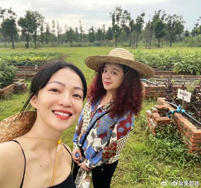 陈聆薇去世的原因是什么？