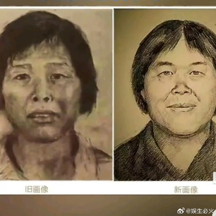 人贩子“梅姨”案的具体细节是什么？