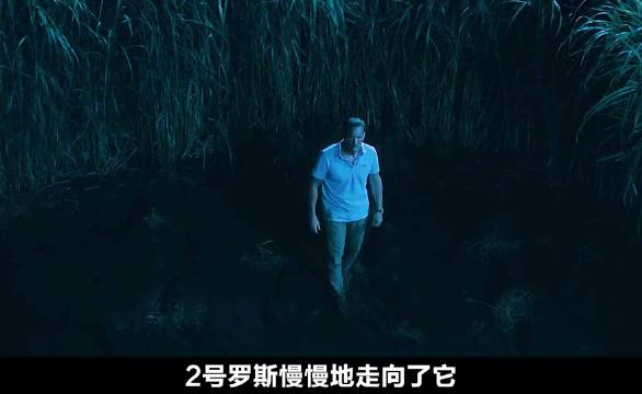 时间错乱不同时间线相遇，高草丛中揭露无尽循环真相