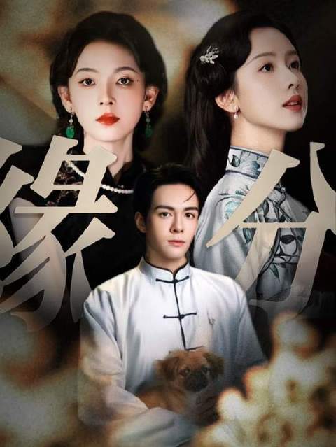 曾舜晞X陈瑶X陈都灵X张若昀