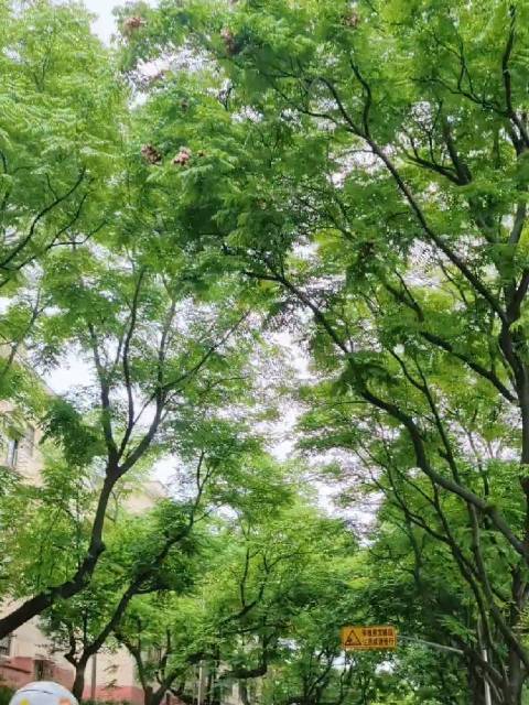 在车里看窗外发呆，感受路上的松弛感