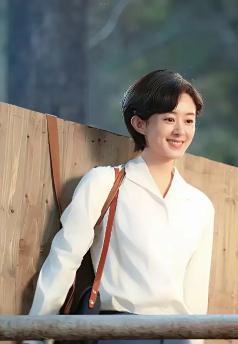 赵丽颖曾获过哪些金鹰奖荣誉？