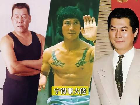 泰迪罗宾