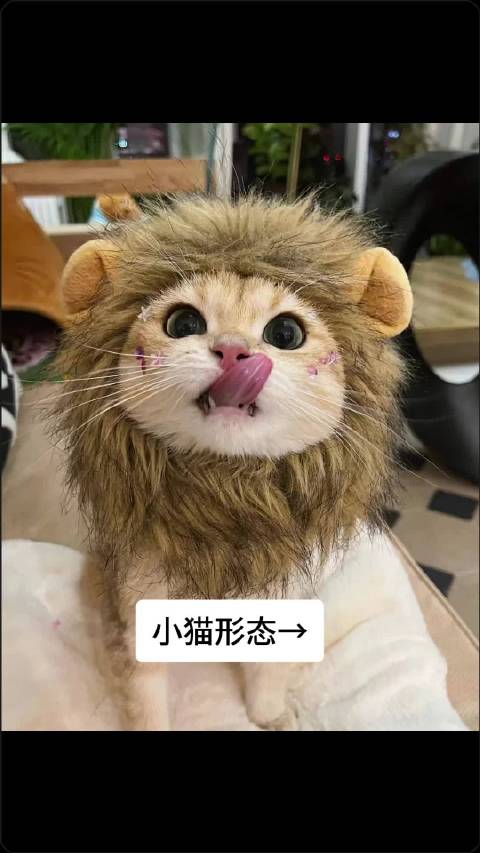cxk他怎么在舞台上化形了
