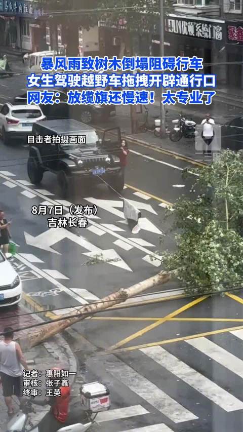 女司机用越野车绞盘拖移挡路大树