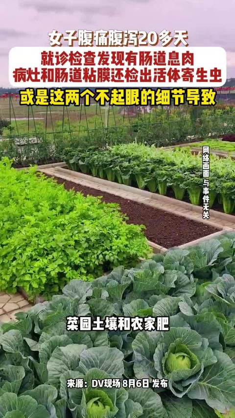 女子腹泻20天体内检出活体寄生虫