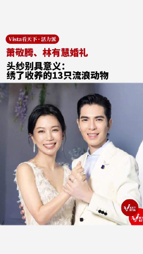 林有慧婚礼头纱绣了收养的流浪动物