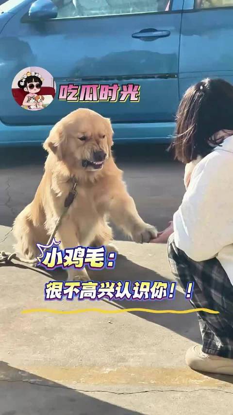 小鸡毛：很不高兴认识你！ 我是谁你听好了！