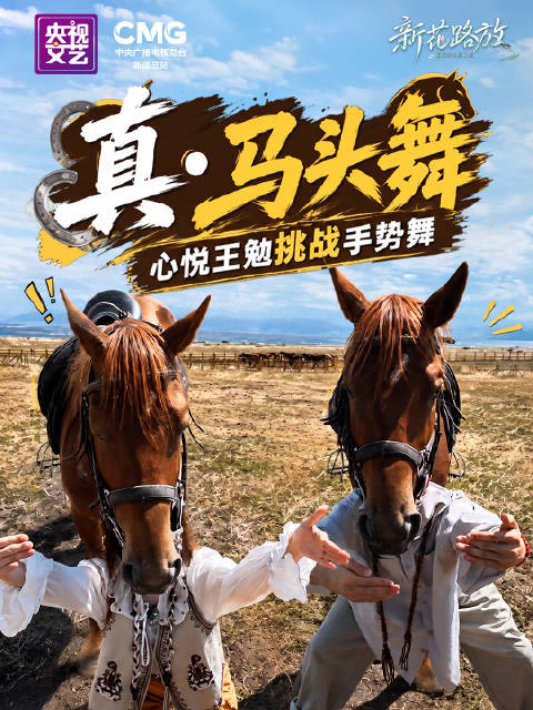 刘心悦、王勉马头舞挑战，真马同框出镜