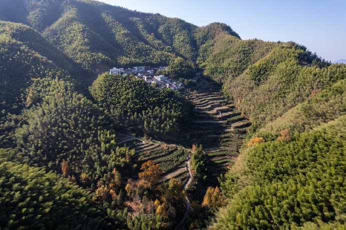 黟县村圈旅游带动了当地哪些消费增长? 黟县村圈旅游带动了当地哪些消费增长?