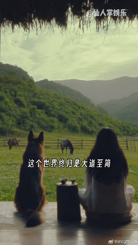 这个世界终归就是大道至简埃安品牌全面焕新 微博VC计划微博VC计划