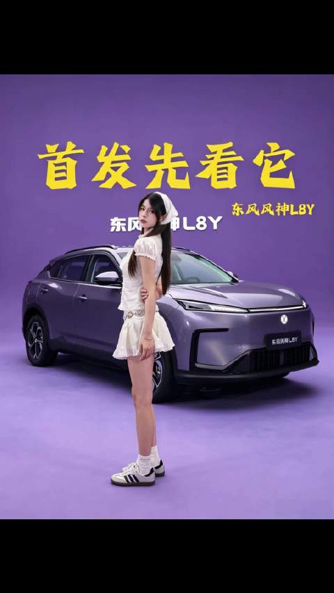 今天看东风风神L8Y