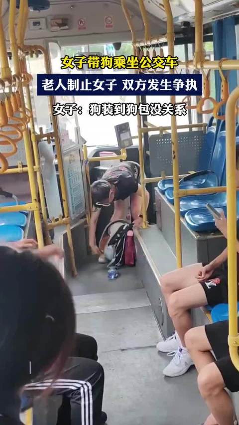 女子带狗乘坐公交车，老人制止女子 双方发生争执，女子:狗装到狗包没关系！