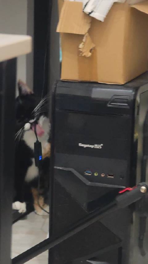 干坏事被我抓包
