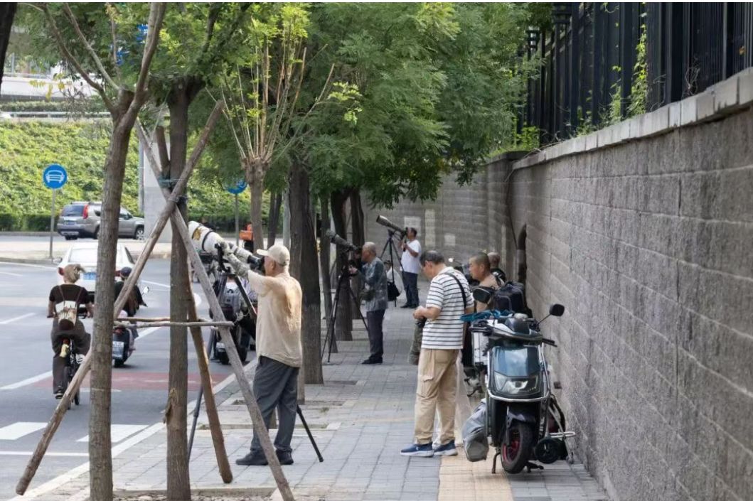 多位攝影愛好者守候拍攝燕隼。通訊員 王一淳 攝