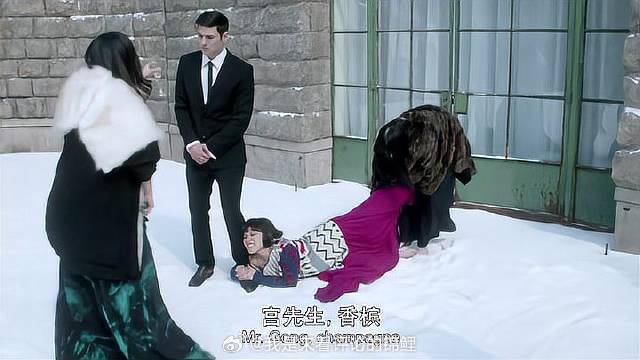 全员开启打雪仗 连总裁都不例外，笑不活了