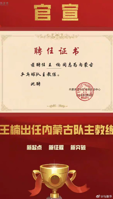 王楠担任火炬手前有哪些比赛经历？