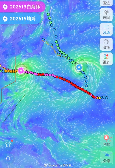 台风白海豚为何被称为罕见台风? 台风白海豚为何被称为罕见台风?