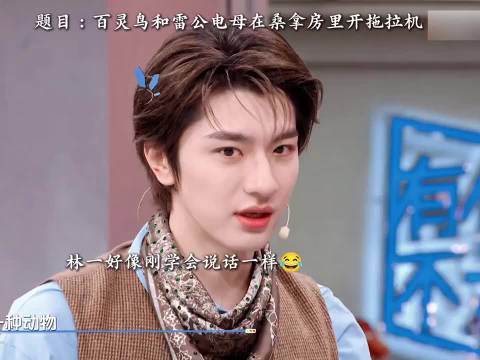 林一粤语如婴儿学语，AI加载粤语包般生涩